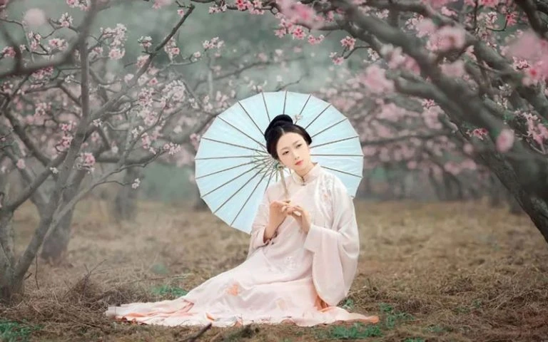 Spring Pear Flower