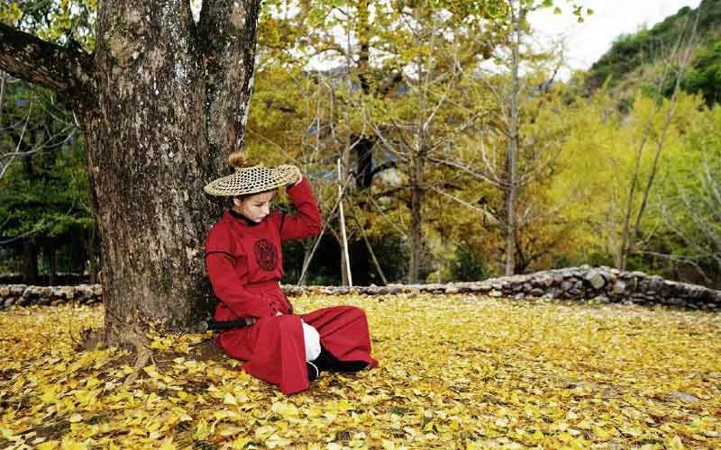 Hanfu Complete Your Martial Arts Dream