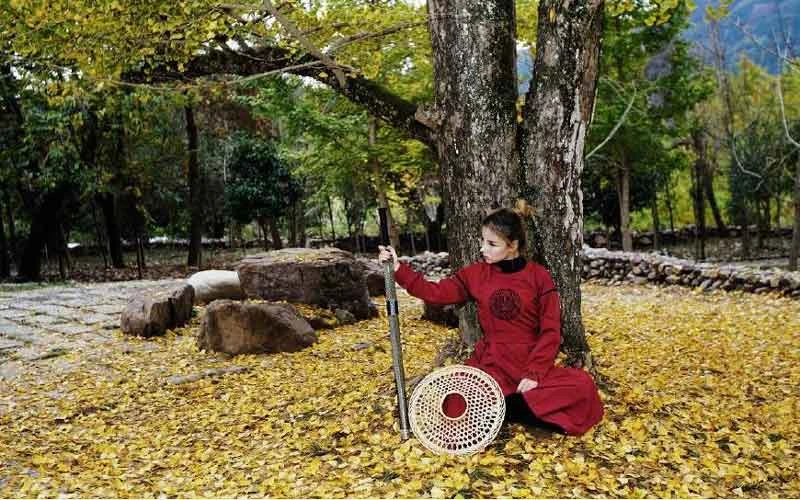 Hanfu Complete Your Martial Arts Dream