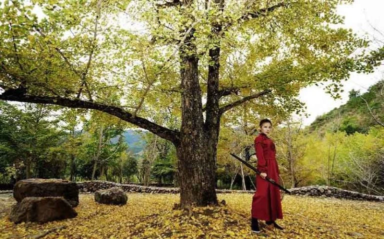 Hanfu Complete Your Martial Arts Dream