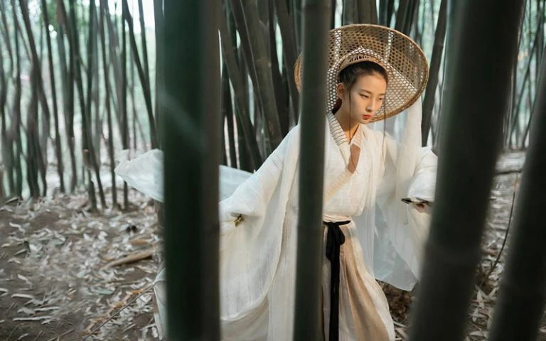 Hero and Chinese Kungfu Costume
