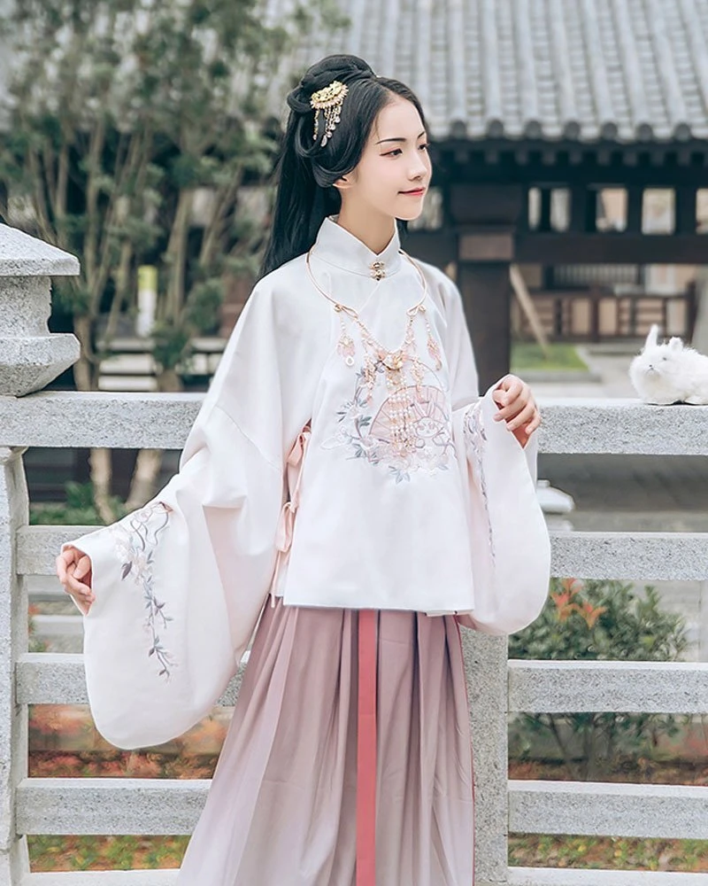 What kind of hanfu did the Song Dynasty wear?