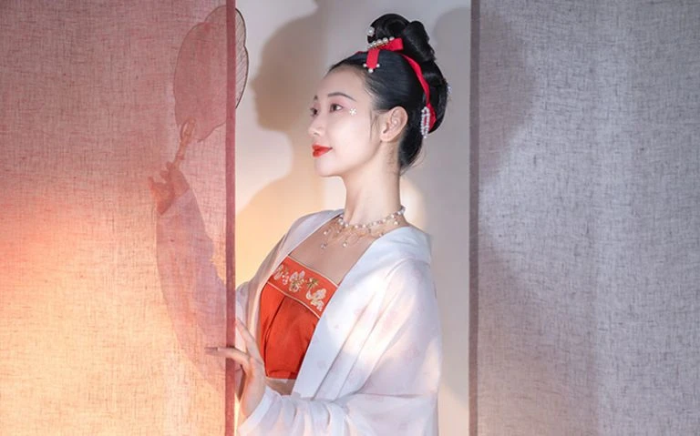Beauty Oriental Style Top - Fashion from Song Dynasty
