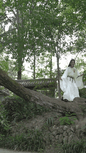 Hanfu Photography - 5 Martial Arts Style Photo Poses