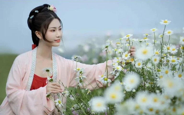 Traditional Chinese Culture Approaching the Exquisite Chinese Dress
