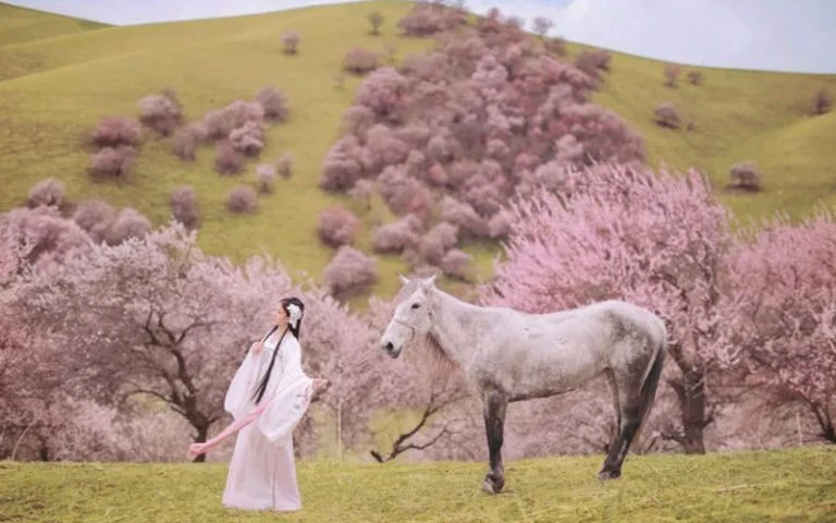 Perfect Combination of Hanfu Clothing & Beautiful Scenery