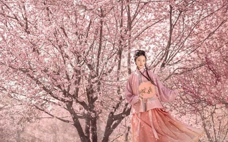 5 Adorable Pink Hanfu You'll Want to Wear