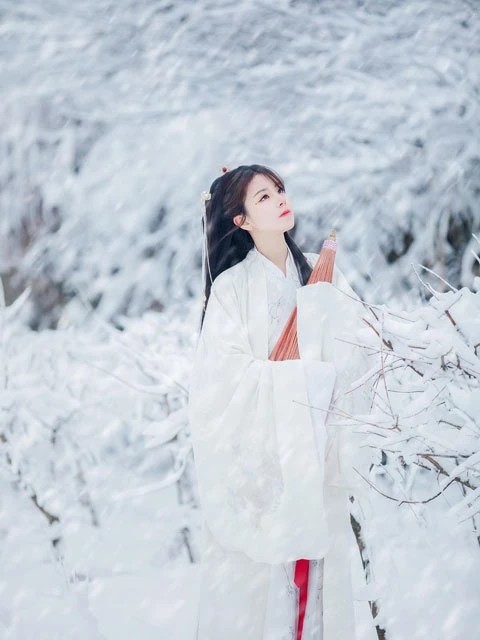 Why Ming Dynasty Hanfu Appropriate for Winter Wear?