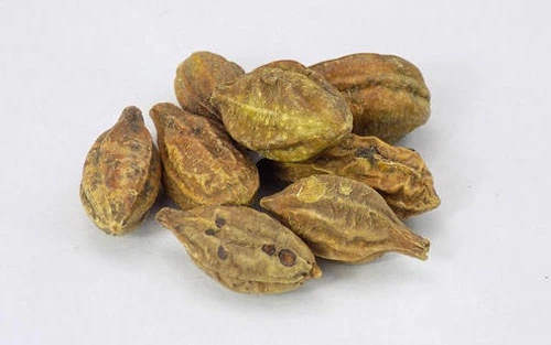 What is Hezi Qun - Origins and Types
