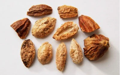 What is Hezi Qun - Origins and Types