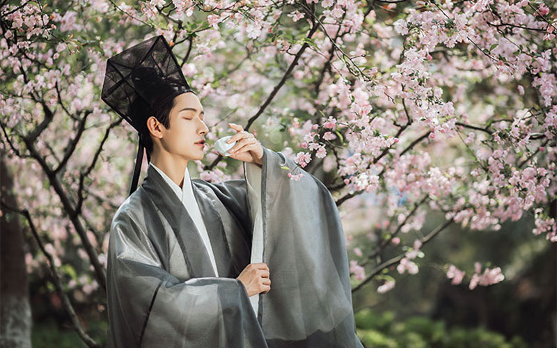 5 Classic Hanfu Sleeve Types in Ming Dynasty