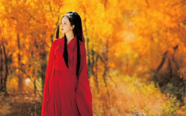 Exploring the Allegory of Chinese Color Theory in Traditional Dress