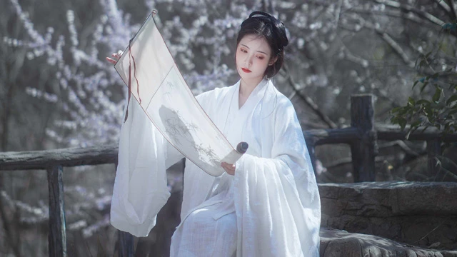 Exploring the Allegory of Chinese Color Theory in Traditional Dress