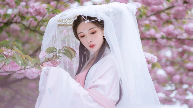 Exploring the Allegory of Chinese Color Theory in Traditional Dress
