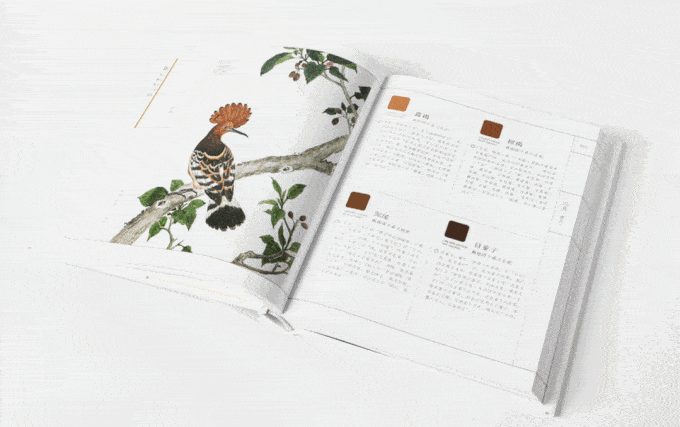 Exploring the Timeless Elegance of Traditional Chinese Colors