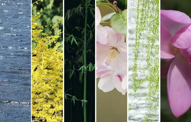Exploring the Timeless Elegance of Traditional Chinese Colors