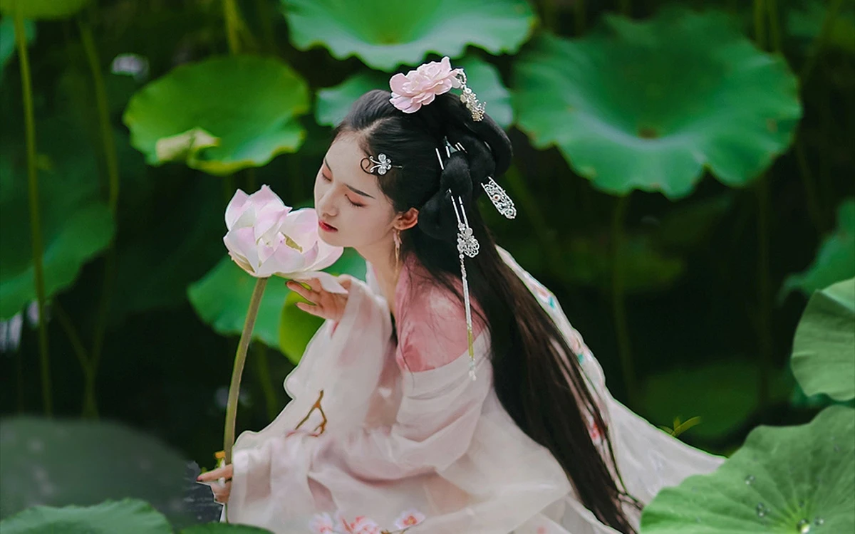 A Brief History of the Lotus Pattern in Traditional Chinese Culture