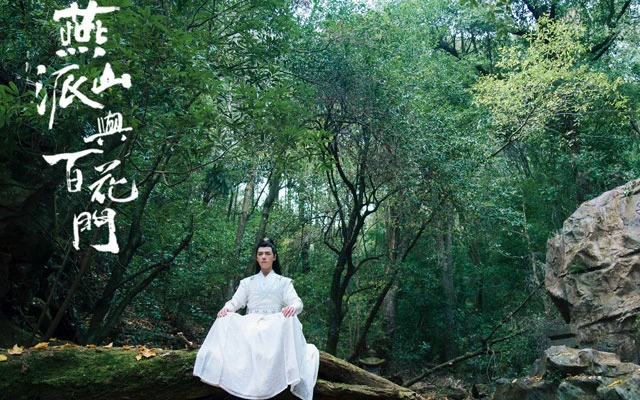 Love Forever Young: A Hilarious Martial Arts Comedy