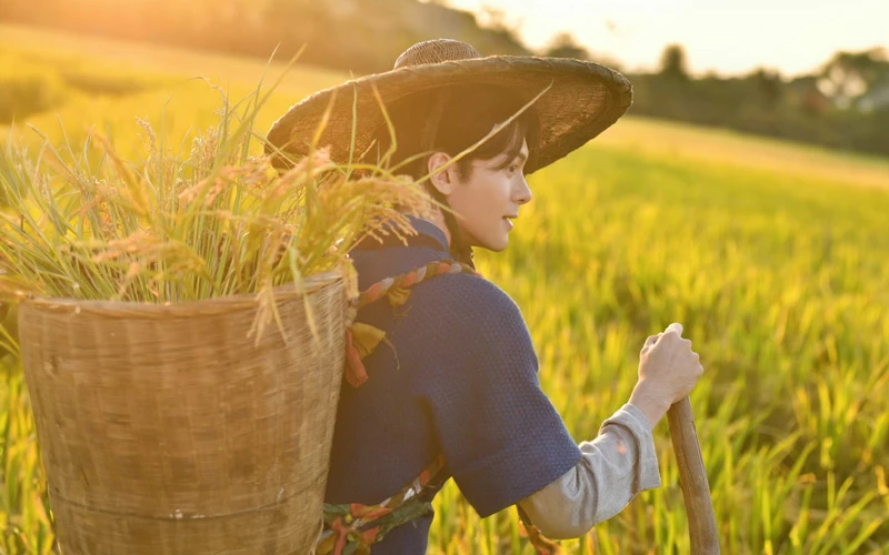 Seeking Tradition: How Ancient Chinese Shielded Themselves from the Sun