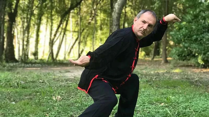 Southern Praying Mantis: Modern Kungfu