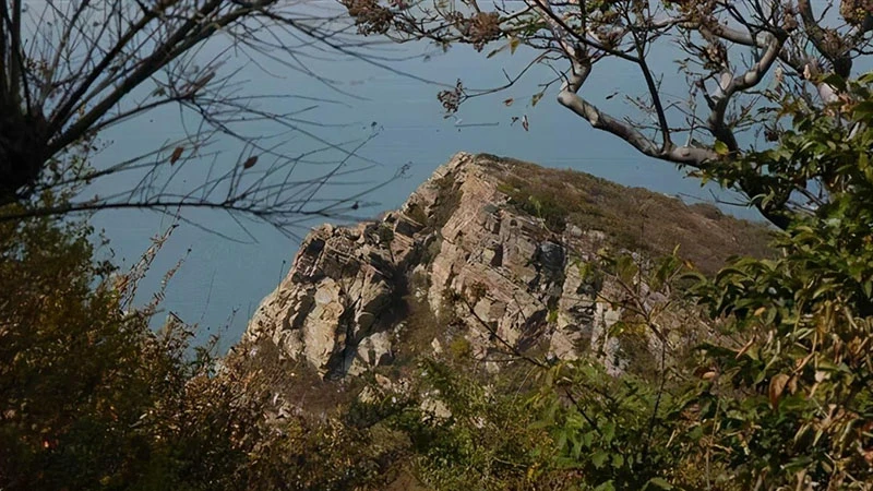 A Unique Ecosystem of Snake Island