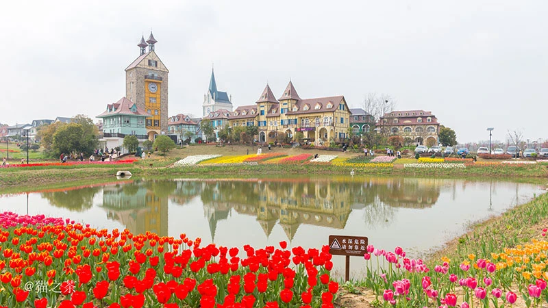 A Day at Wuhan Flower Expo