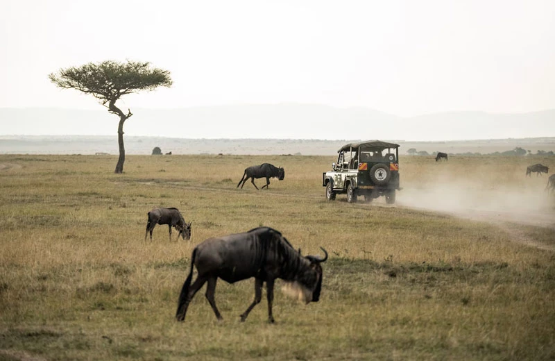 Top 7 Best Destinations in Africa For Tourism