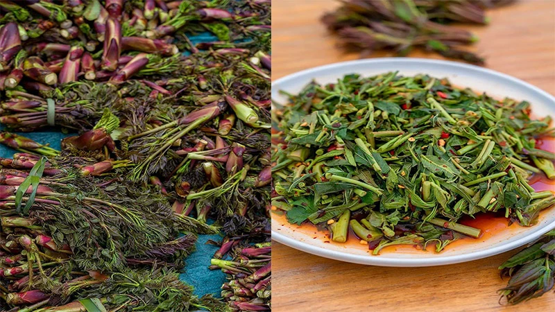 A Chinese Spring Journey Through Budding Delicacies
