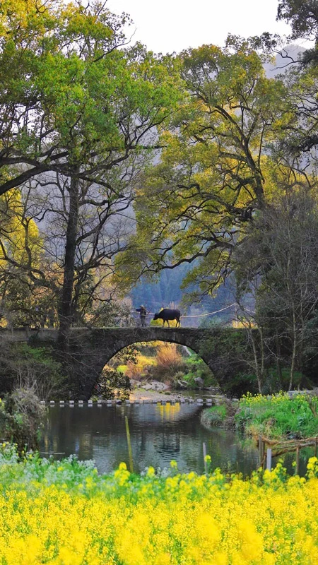 The Most Underrated Tourist City Located on Chinese Southern border