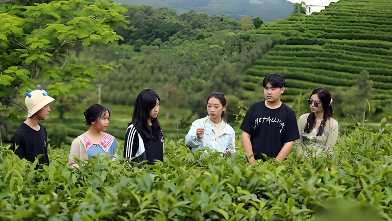 Pu'er and Laotian Youth Exchange Through Tea and Coffee Culture