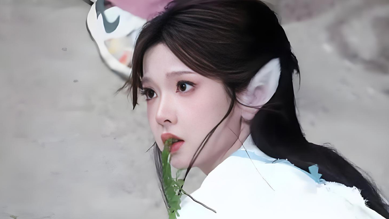 Zhang Miaoyi's Fox Demon Reuters in New Tales of Liaozhai
