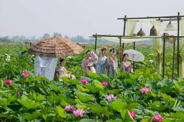 Yueyang Lotus Festival: Hanfu Visitors Get Free Entry