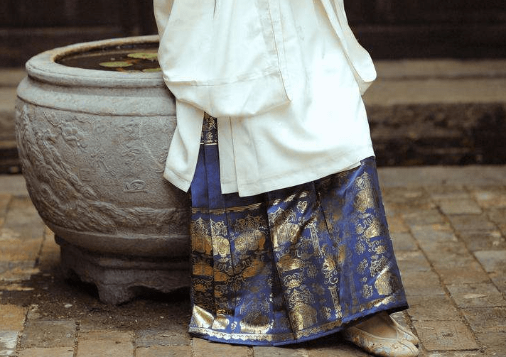 Explore the Ming Dynasty Women's Aoqun Hanfu Jacket