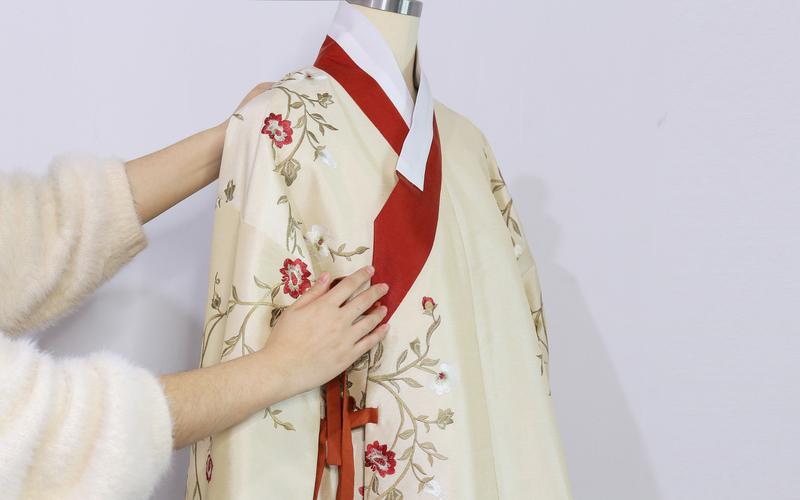 Explore the Ming Dynasty Women's Aoqun Hanfu Jacket