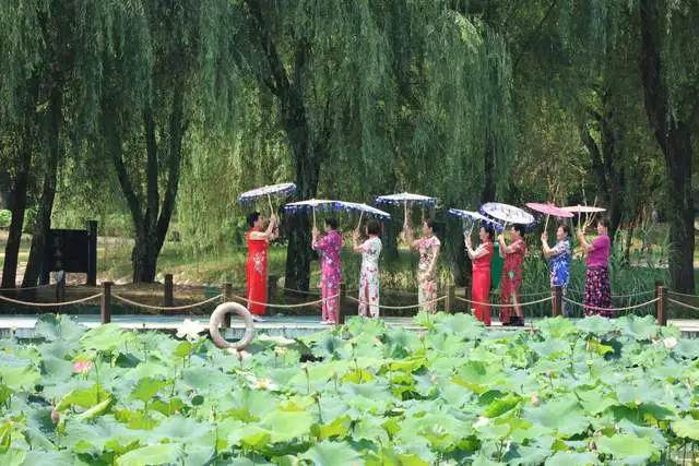 Yueyang Lotus Festival: Hanfu Visitors Get Free Entry