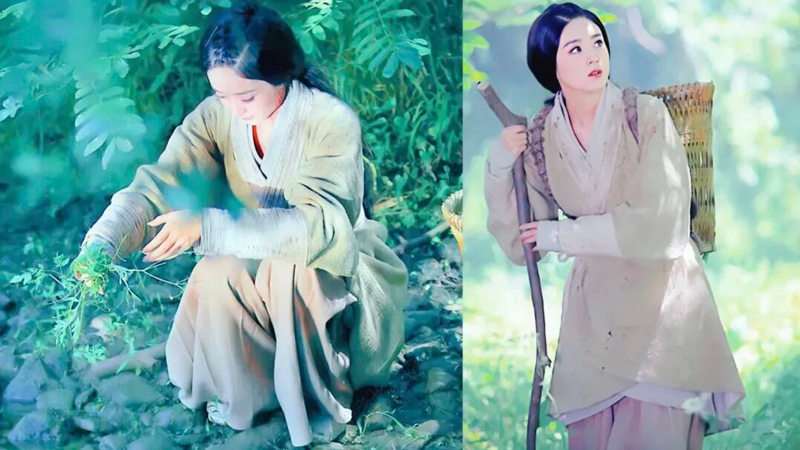 Can Zhao Liying Reinvent Herself as Empress Wei Zifu?
