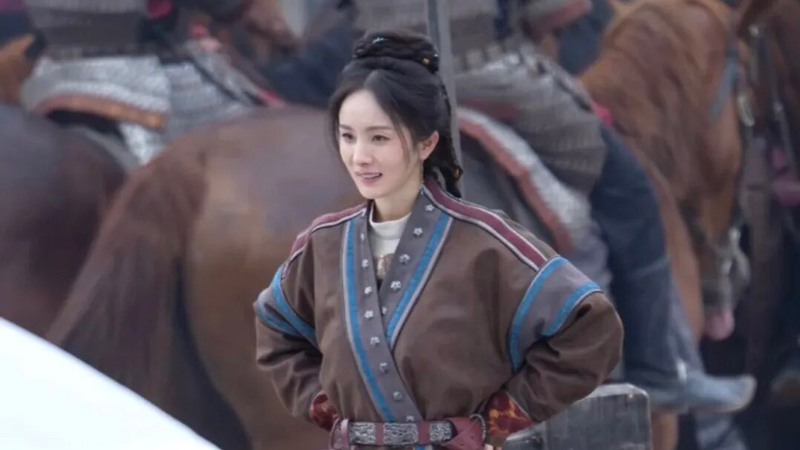 Northern Wei Leather Coat Debate