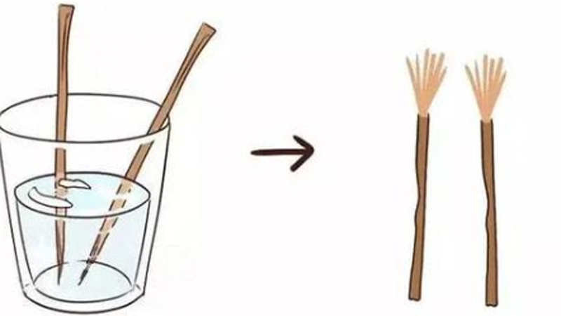 The 5-Step History of Ancient Dental Hygiene