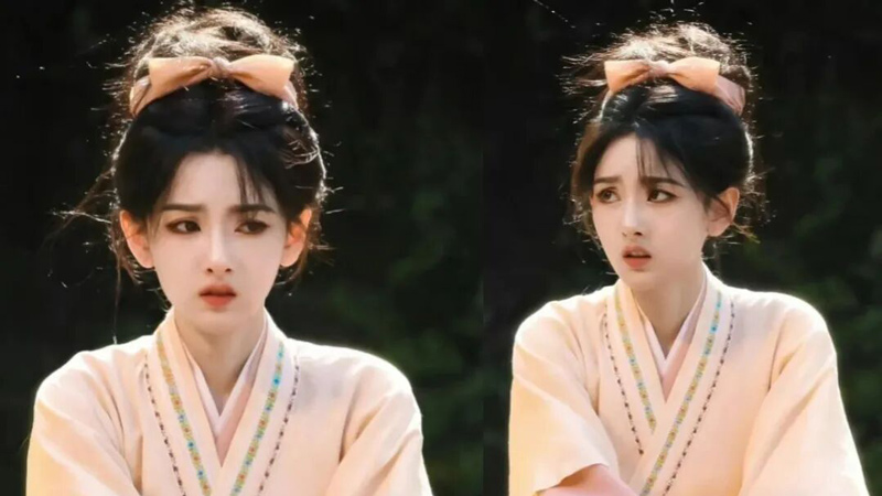 The Long History of Chinese Bow Hair Ornaments