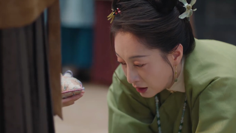 The Road to Splendor: Why Lu Yiniang Bore No Child for General Mo