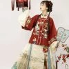 Ming-Dynasty-New-Year-Hanfu-Vintage-Crane-Winter-Horse-Face-Skirt-2 Ming Dynasty New Year Hanfu Vintage Crane Winter Horse Face Skirt