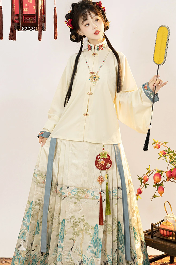 Ming Dynasty New Year Hanfu Vintage Crane Winter Horse Face Skirt