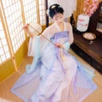 hanfu-classic-ruqun-dress-newhanfu-2019-03 chest ruqun hanfu dress newhanfu