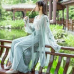 traditional hanfu pants clothing newhanfu