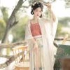 Spring-Women-Song-Dynasty-Hanfu-Elegant-Traditional-Pleated-Skirt-3 Spring Women Song Dynasty Hanfu Elegant Traditional Pleated Skirt