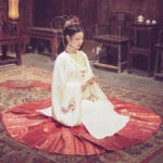 horse-face hanfu dress
