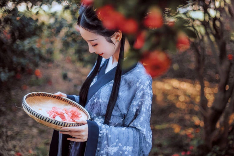 buy newhanfu hanfu blouse