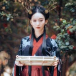 newhanfu-hanfu-blouse-02 newhanfu hanfu blouse