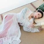 Hanfu-Pants-Chinese-Traditional-Clothing-Newhanfu summer hanfu songku shop