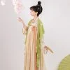 Spring-Women-Tang-Dynasty-Hanfu-Qixiong-Shanqun-Elegant-Butterfly-Dresses-3 Spring Women Tang Dynasty Hanfu Qixiong Shanqun Elegant Butterfly Dresses